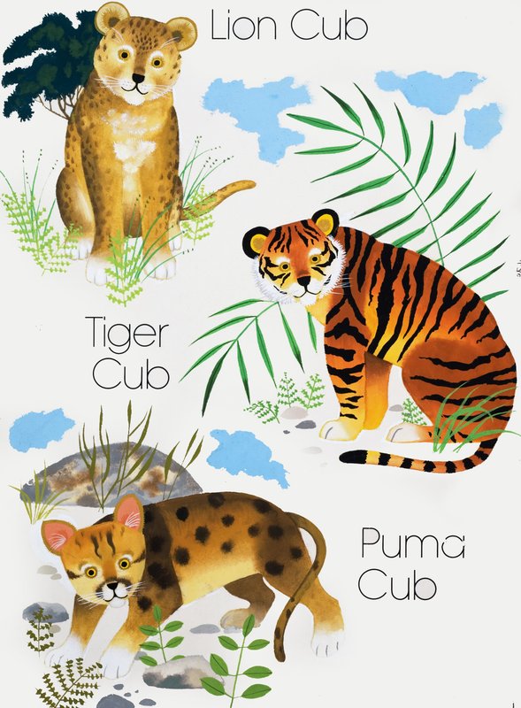 Filhotes de gatos grandes de English School