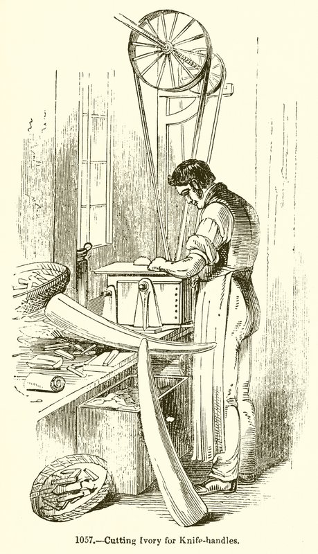 Marfim de corte para punhos de English School
