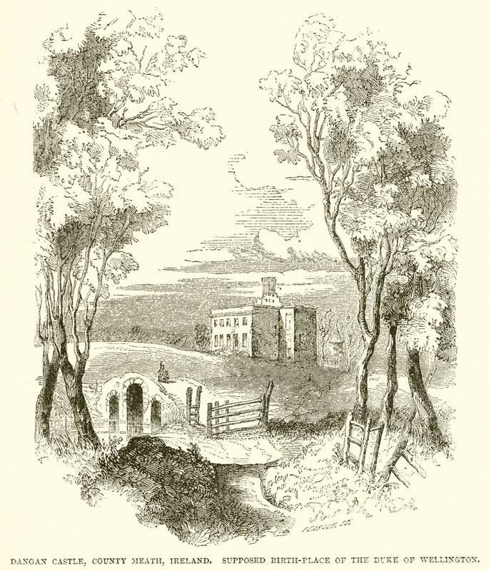 Castelo de Dangan, país Meath, Irlanda. Suposto Local de Nascimento do Duque de Wellington de English School
