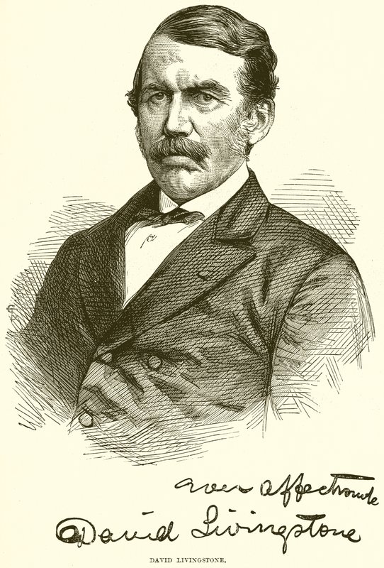 David Livingstone de English School