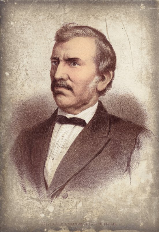 David Livingstone, explorador de English School