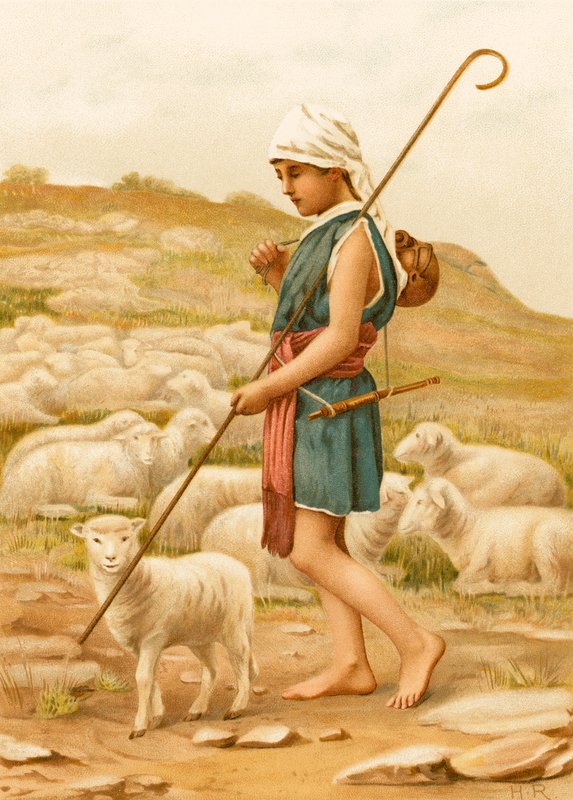 David cuidando de suas ovelhas de English School