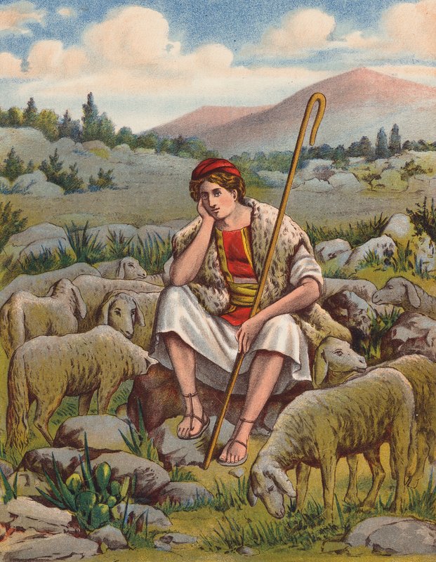 David, o pastor (litografia a cores) de English School