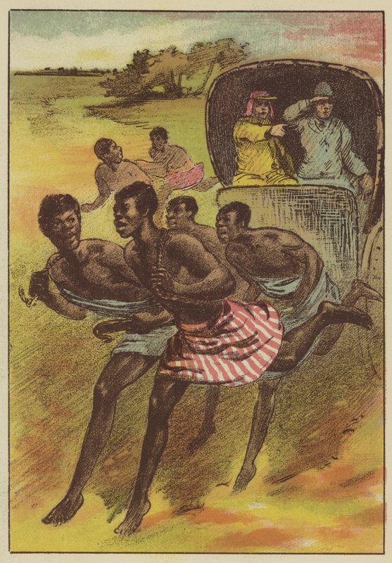 Gavião em viagem (gravura colorida) de English School