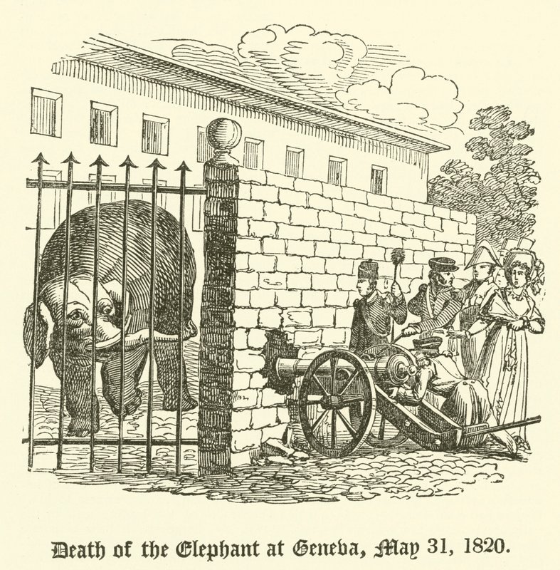 Morte do elefante em Genebra, 31 de maio de 1820 de English School