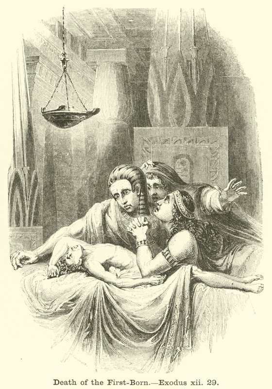 Morte do primogênito, Êxodo, xii, 29 de English School