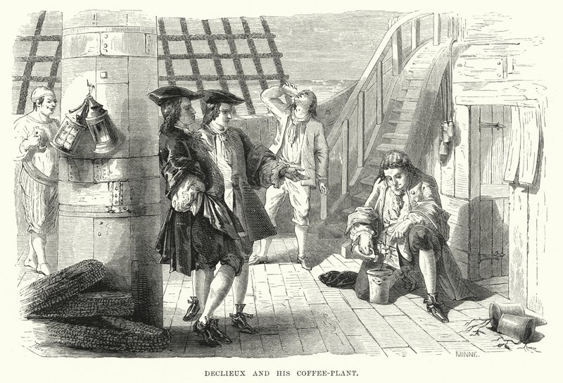 Declieux and His Coffee-Plant (gravura) de English School