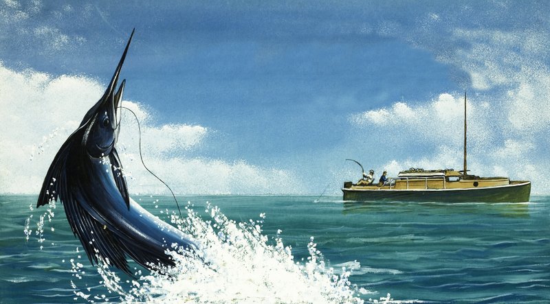 Pescador de alto mar enganchar um espadarte de English School