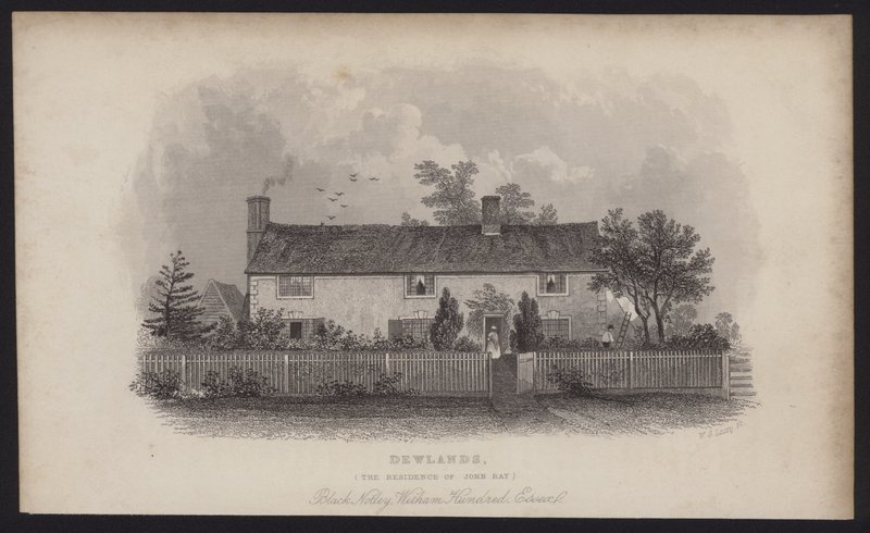 Dewlands, a residência de John Ray, Black Notley, Witham Hundred, Essex (gravura) de English School