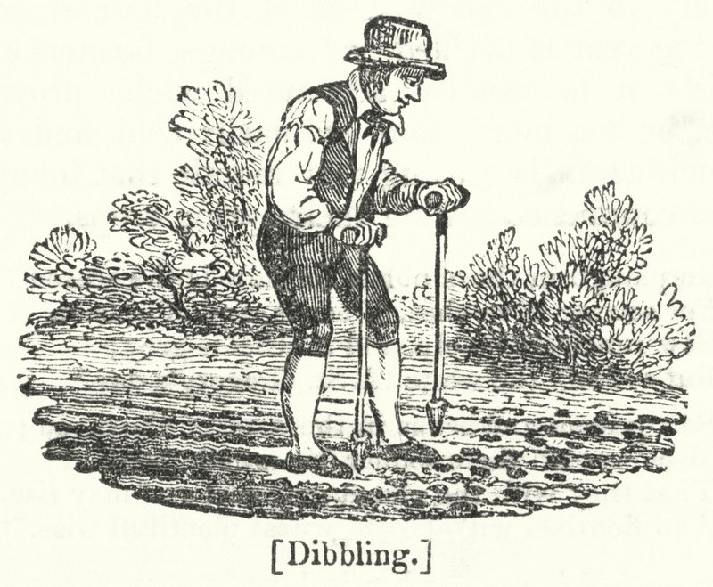 Dibbling de English School