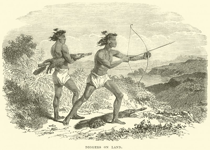 Escavadores em terra de English School