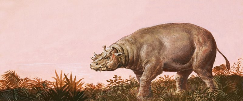 Dinossauro de English School