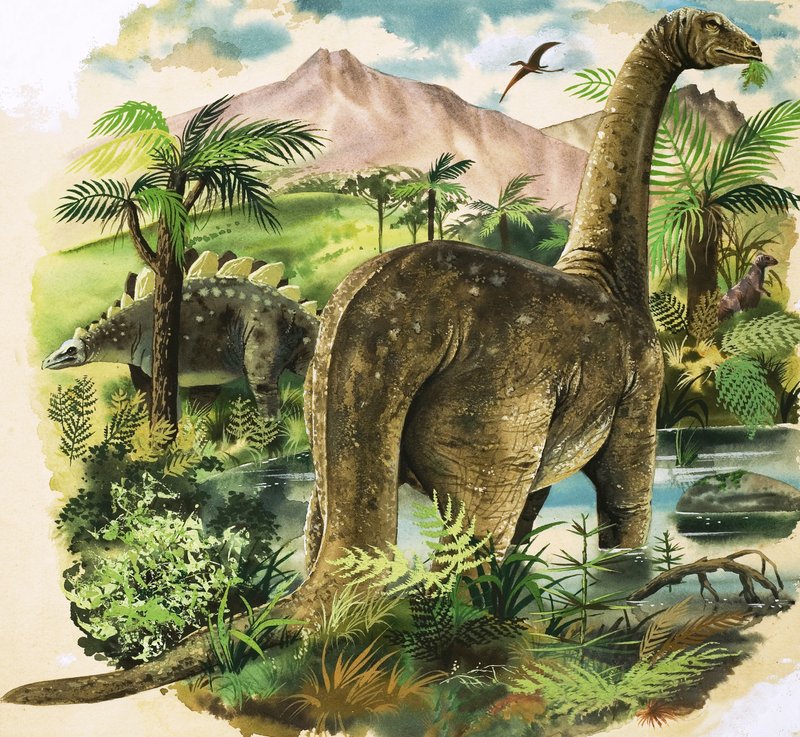 Dinossauros de English School