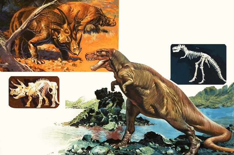 Dinossauros e esqueletos. Stegasaurus e Tyranosaurus de English School