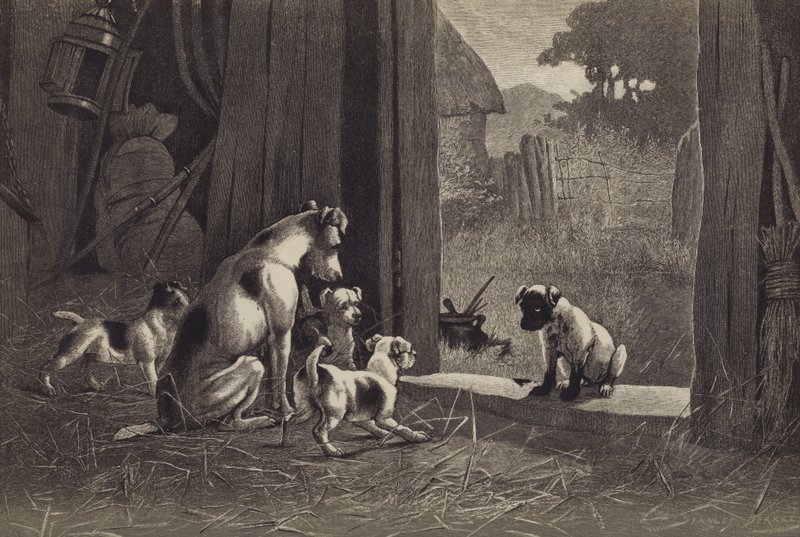 Cão (chromolitho) de English School