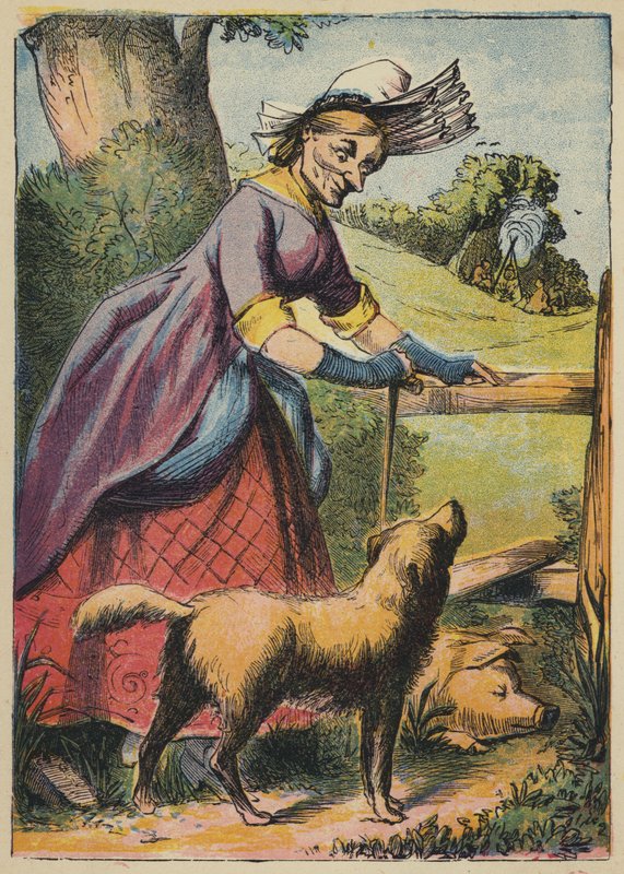 Cão! Cão! Morder o porco (litografia a cores) de English School