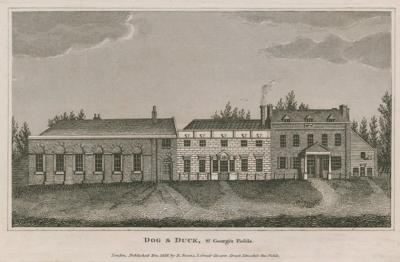 Cão e pato, St Georges Fields, Lambeth de English School