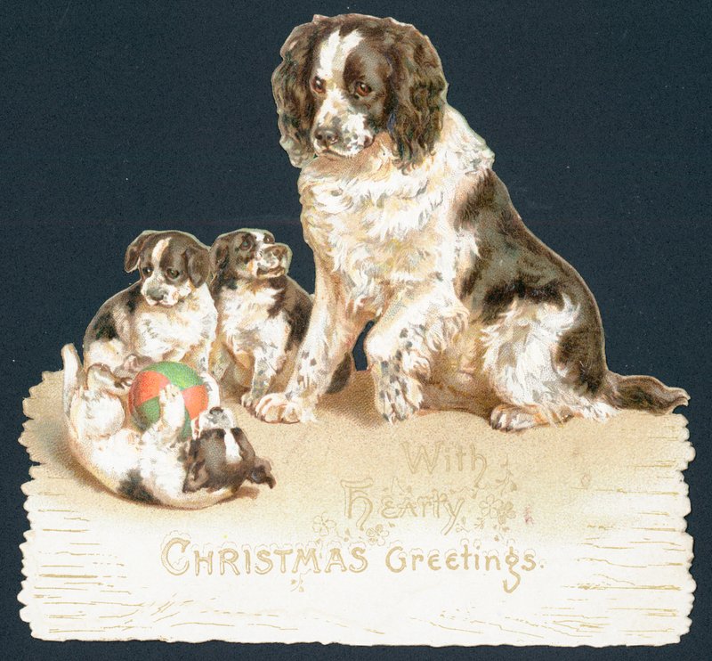 Cão e filhotes de cachorro, cartão de Natal de English School