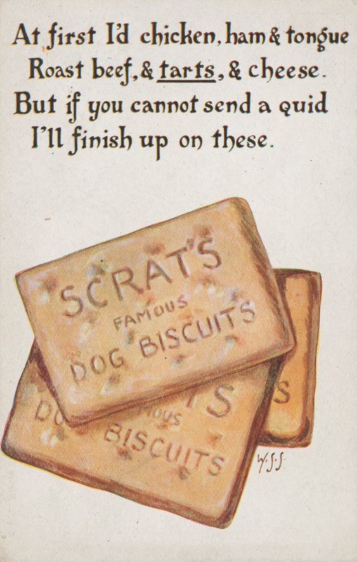 Biscoitos para cães (lito colorido) de English School