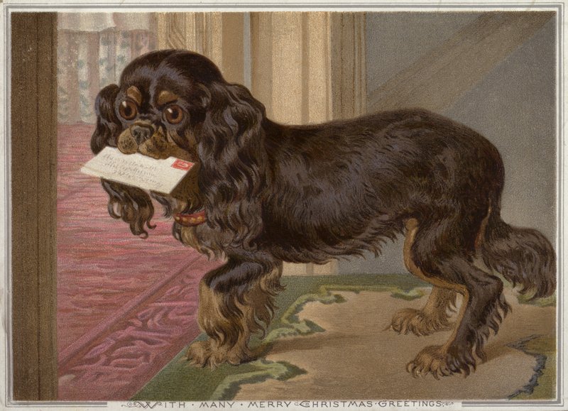 Cão com uma carta na boca (chromolitho) de English School