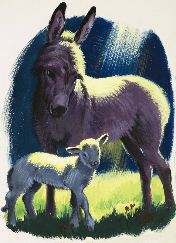 Burro e cordeiro de English School