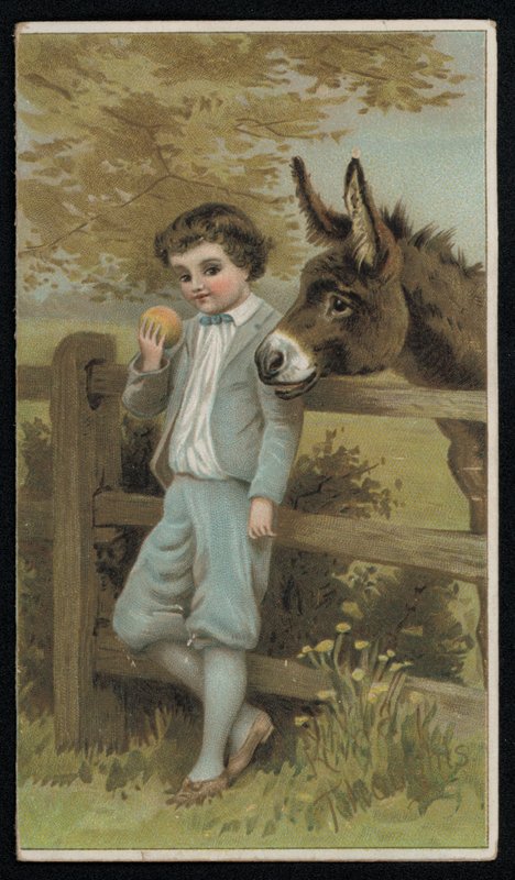 Burro a ver um rapaz com uma maçã, cartão de felicitações. (chromolitho) de English School