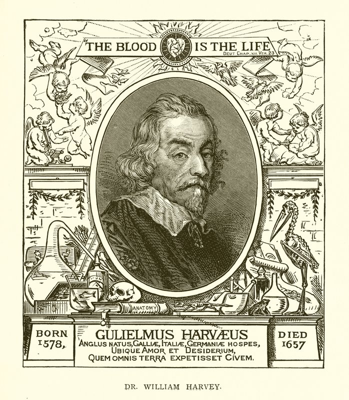 Dr. William Harvey de English School