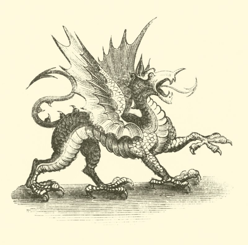 Dragão (gravura) de English School