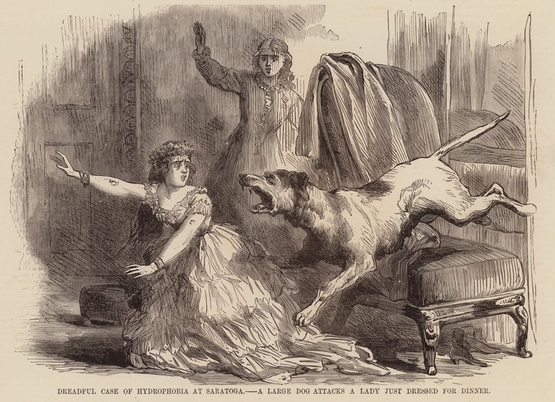 Caso terrível de hidrofobia em Saratoga, um cão de grande porte ataca uma senhora que estava a vestir-se para jantar (gravura) de English School