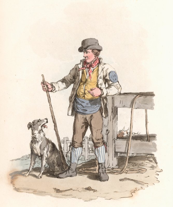 Drover de English School