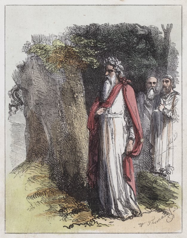 Druidas (gravura colorida) de English School