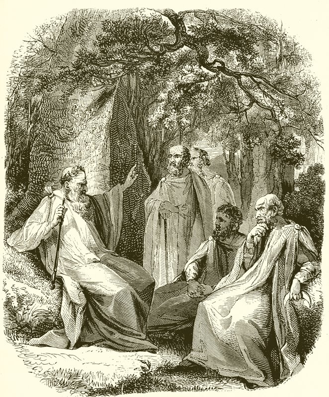 Druidas no Bosque Sagrado de English School