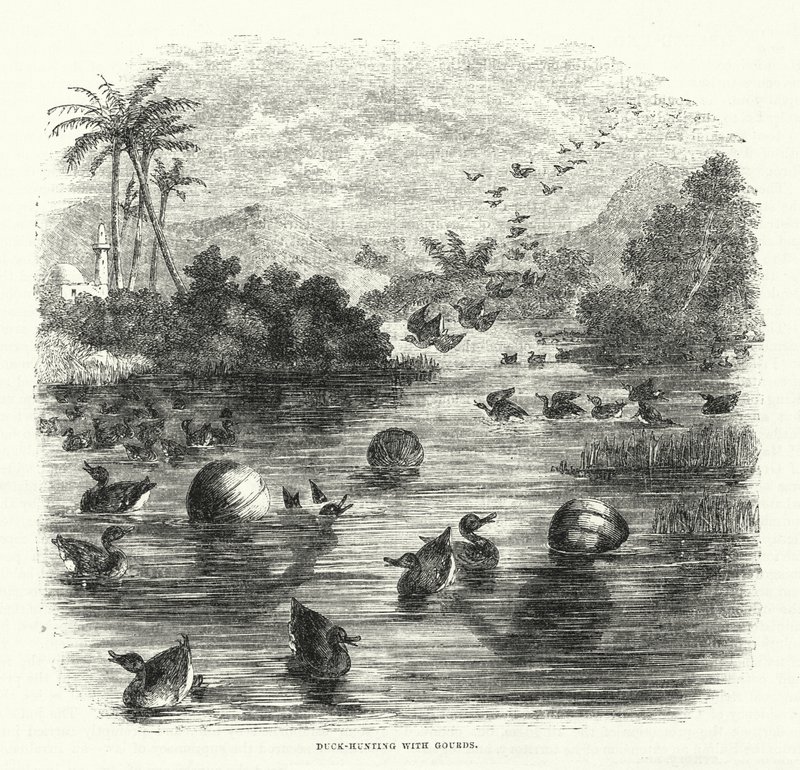 Caça ao pato com cabaças (gravura) de English School
