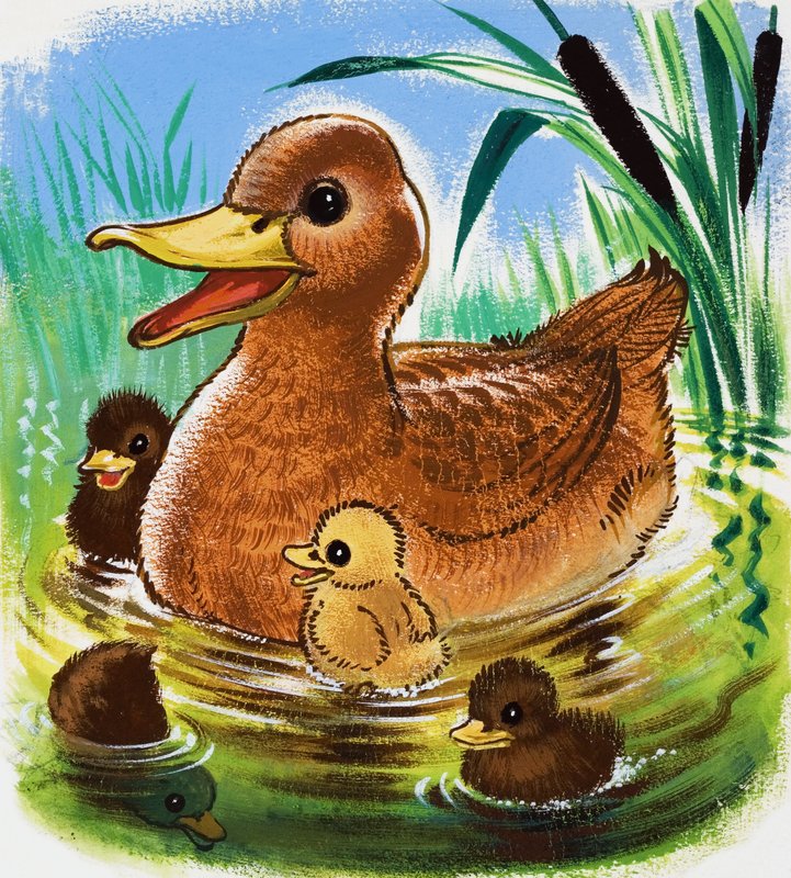 Patos de English School