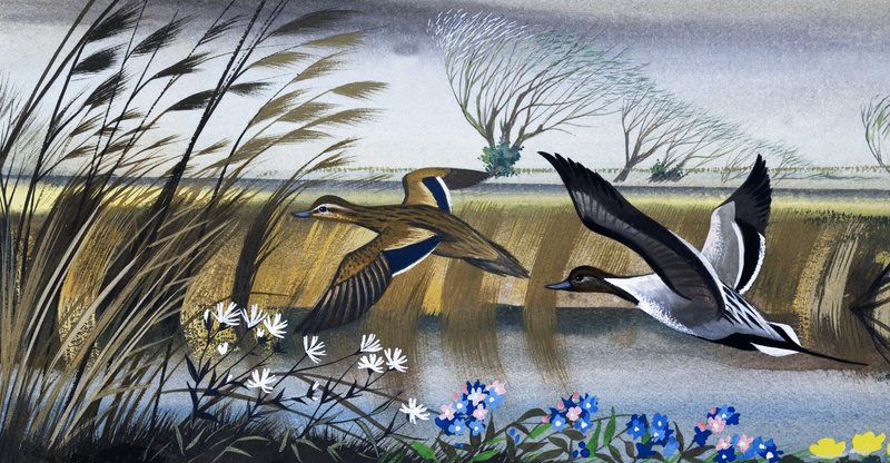 Patos em vôo de English School