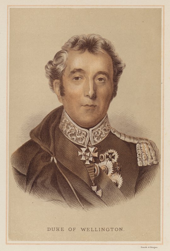 Duque de Wellington (lito colorido) de English School