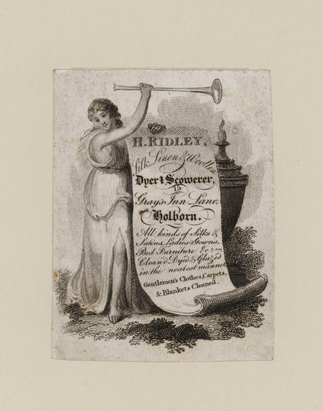 Tintureiro e Scowerer, H Ridley, cartão de comércio de English School
