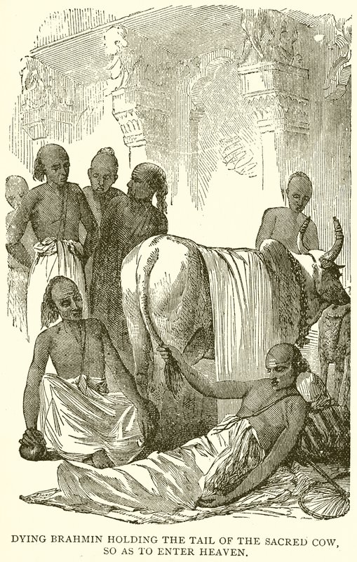 Brâmane moribundo segurando a cauda da Vaca Sagrada, para entrar no Paraíso de English School