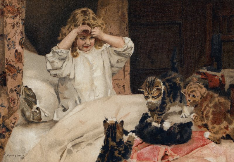 "Os que se levantam cedo" de English School