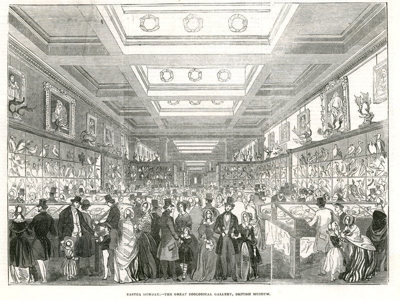 Segunda-feira de Páscoa - a Grande Galeria Zoológica, Museu Britânico de English School
