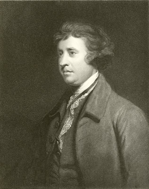 Edmund Burke de English School