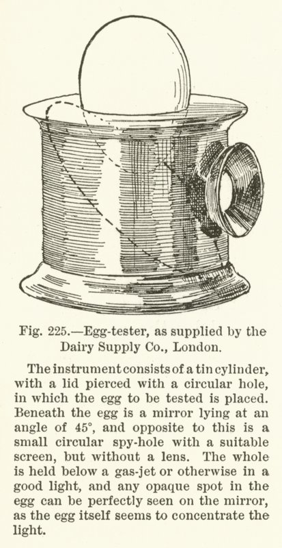 Testador de ovos, fornecido pela Dairy Supply Company, Londres de English School