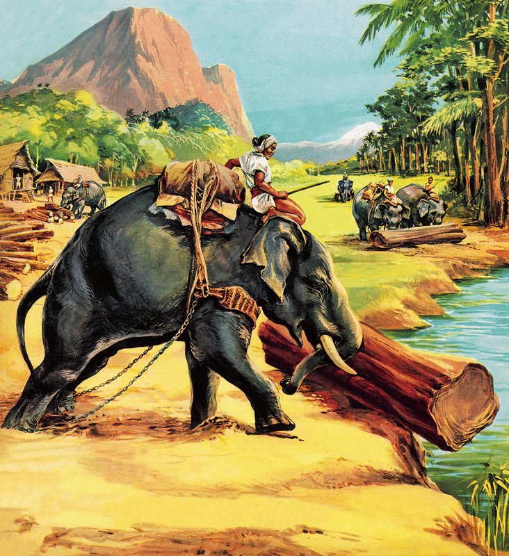 Elefante. Ilustração do elefante Bill por Liuet. Coronel JH Williams de English School