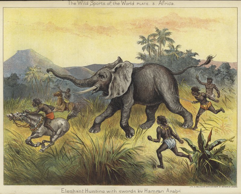 Caça ao elefante com espadas de Hamran Arabs de English School