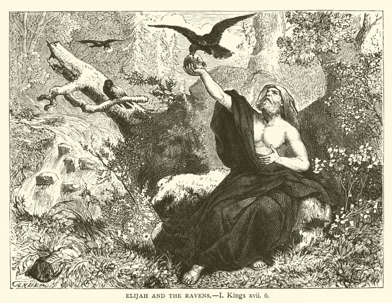 Elias e os Corvos, I, Reis, xvii, 6 (gravura) de English School