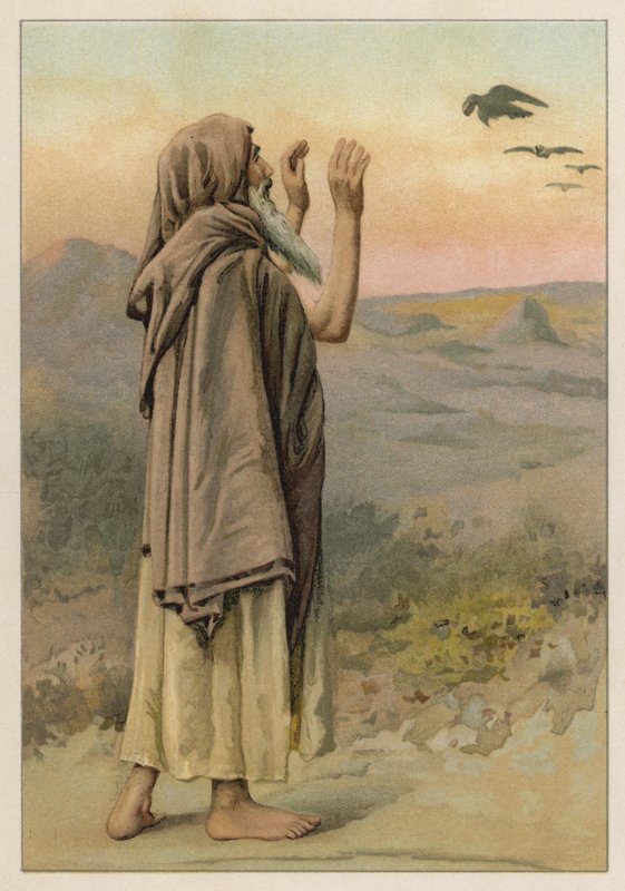 Elias e os corvos (cromolitografia) de English School