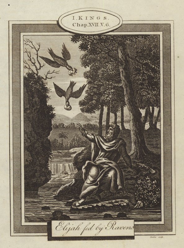 Elias alimentado por Ravens, I Reis, Capítulo XVII, Verso 6 (gravura) de English School