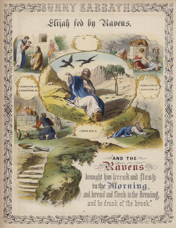 Elijah alimentado por corvos (gravura colorida) de English School
