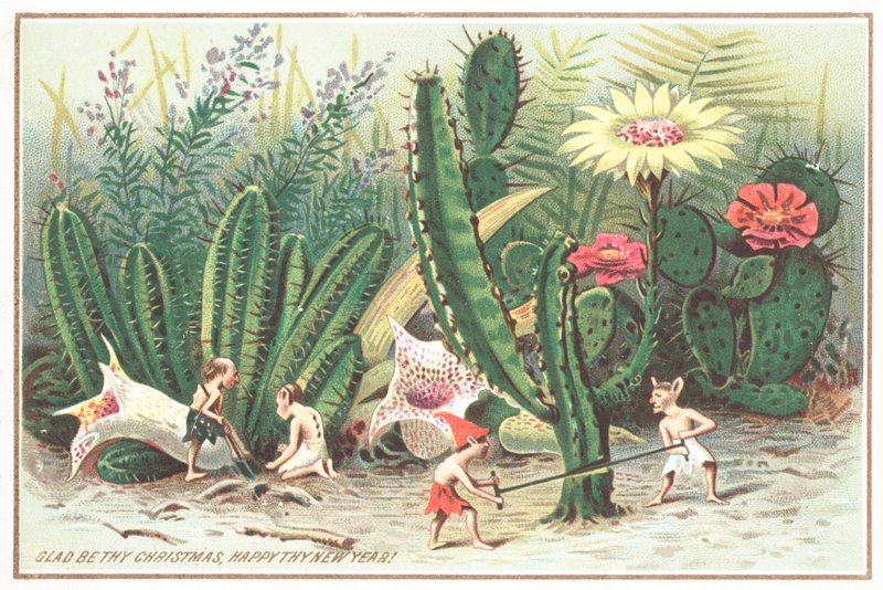 Duendes no jardim, cartão de Natal de English School