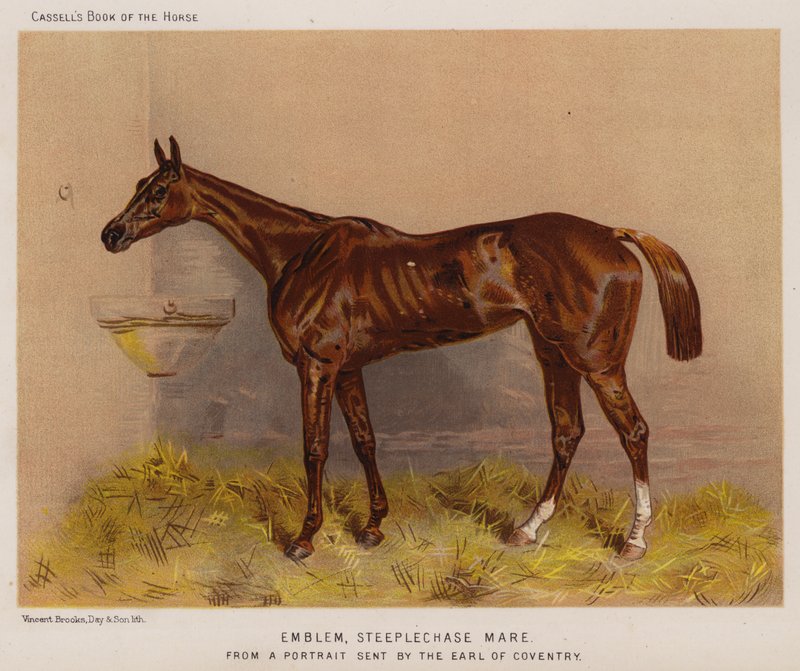 Emblema, Steeplechase Mare (cor litho) de English School
